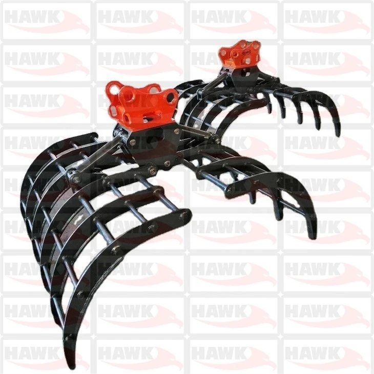 Hawk06